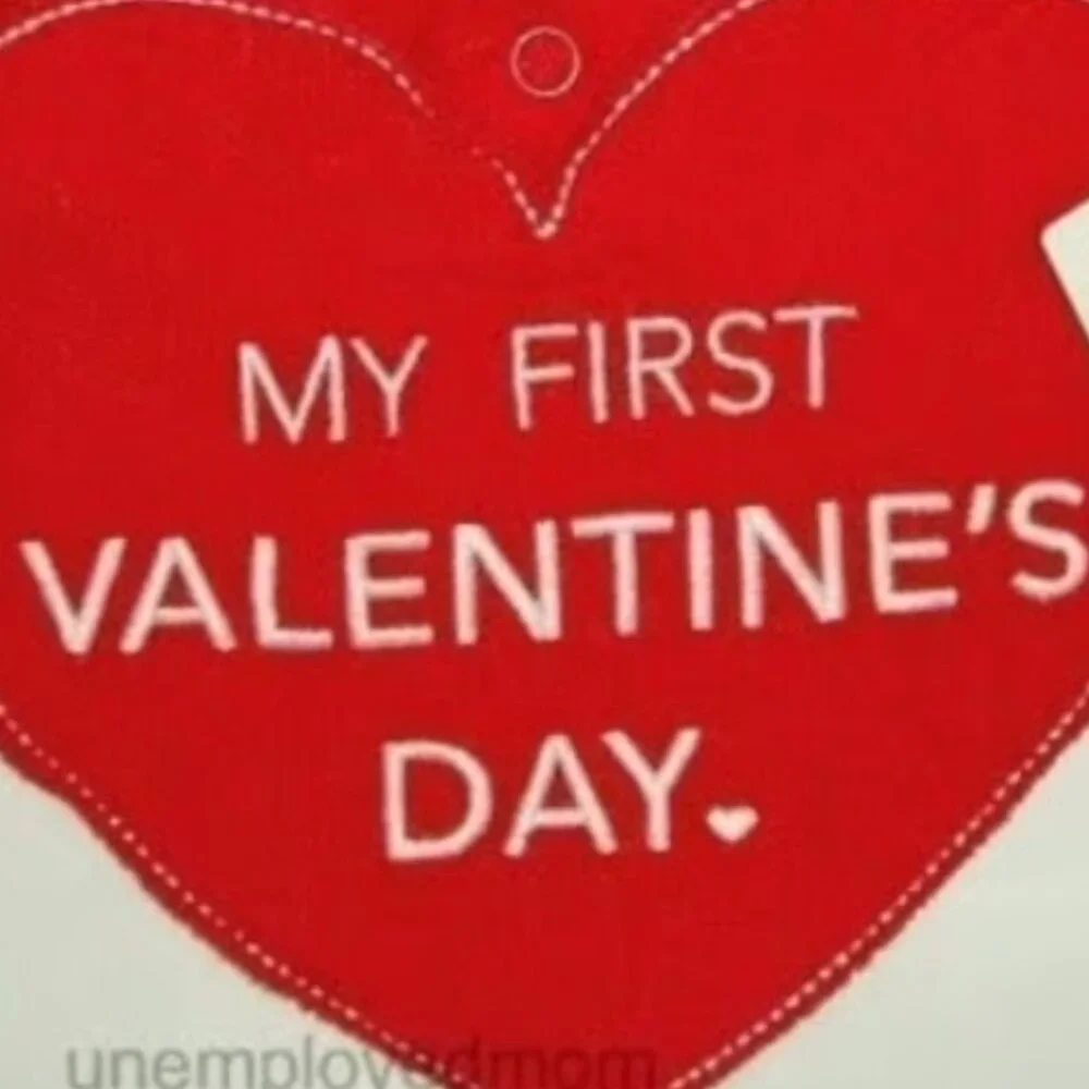 Baby Bib My First Valentine's Day Heart Shaped Holiday 1st Boys Girls Infants